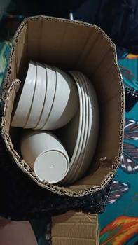 Product Review of ROMANTIC 12pcs BEIGE Eco-Friendly Wheat Straw Lightweight Tableware Plates Bowls and Cups Sets Microwave & Dishwasher Safe Cutlery from K**B S**p 1