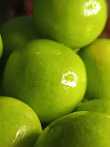 Jeruk Nipis 1 KG Fresh Langsung Petik 100% Alami Segar Tanpa Bahan Kimia Ideal untuk Konsumsi Sehari-hari dan Resep Masakan