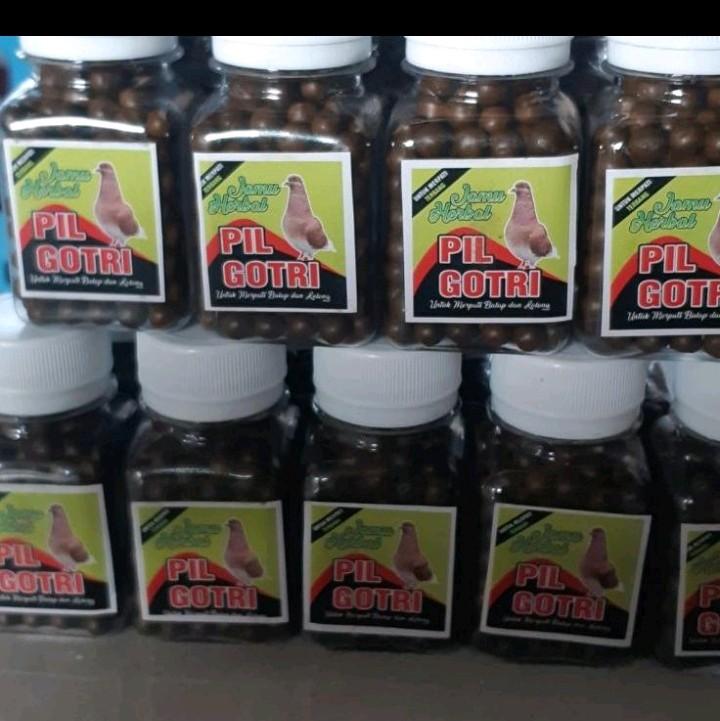JAMU MERPATI PIL GOTRI 250 BUTIR KHUSUS TERBANG 1