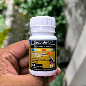 Obat Ayam Lumpuh Super Mega Tendon 14 Kapsul - 3x Lebih Bagus dari OBK Lumpuh  Obat Ayam Sakit Turun Urat Lumpuh Tedun Tedun Rambat Bintik Merah Kaki Kesleo & Gedung