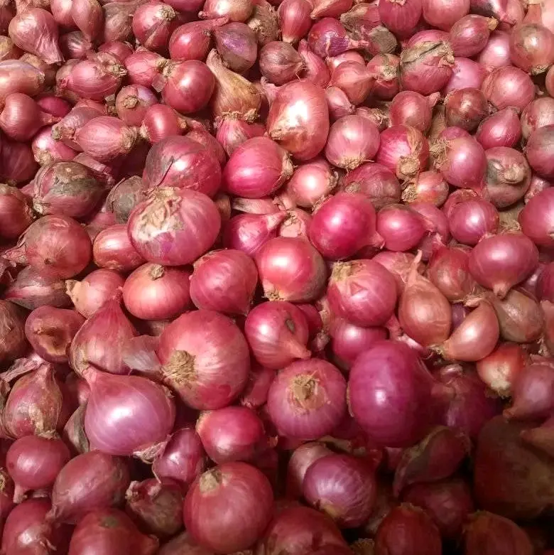 Bawang Merah Kering 1Kg  Spices-Bumbu Dapur Kering-Rempah Bumbu Masak Food Masakan Lezat 5