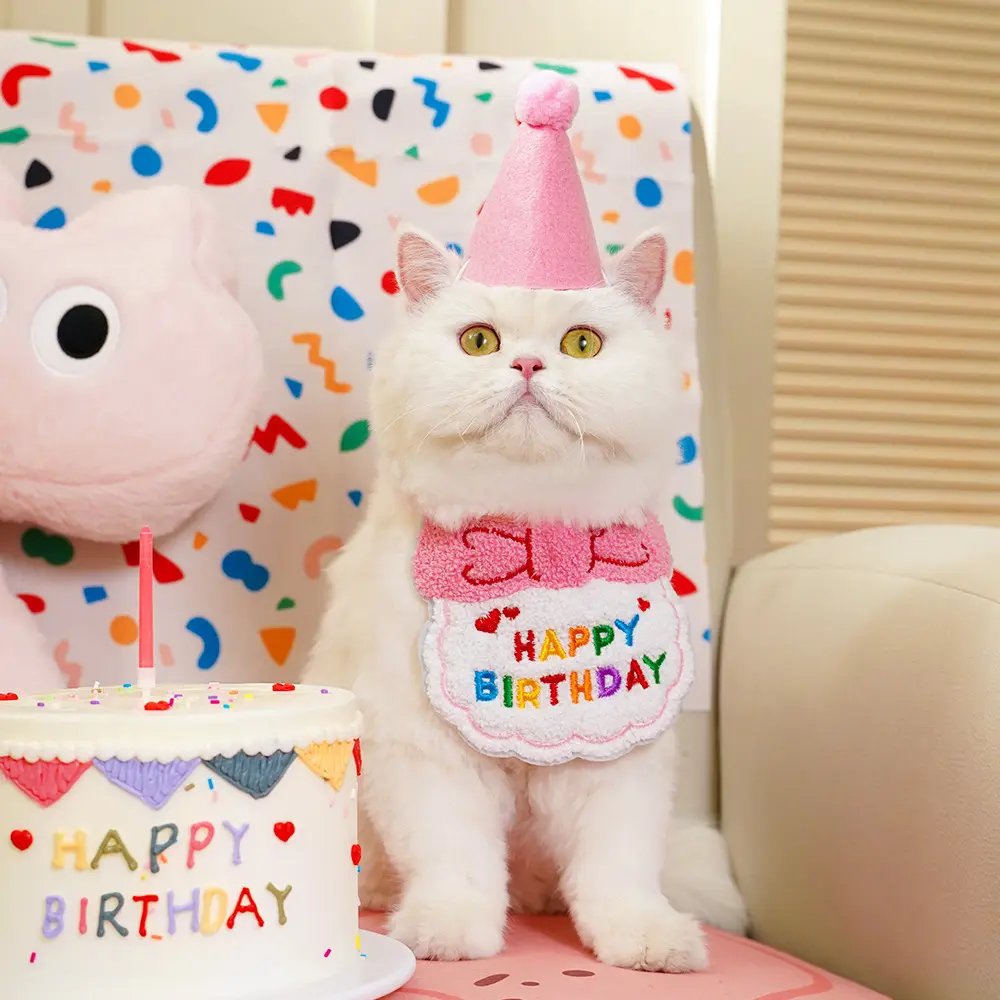 hood for cats, stylish bandanas and bibs to cute hats
