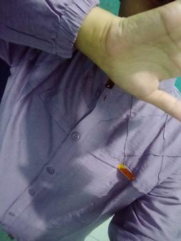Product Review of ROSELLA BLOUSE POLO LINEN . baju Atasan Santai from I**N 0