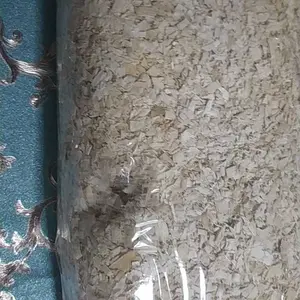 SERBUK KAYU PREMIUM ALAS KANDANG HAMSTER