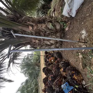 TOJOK GALVANIS SUPER TEBAL 3mm