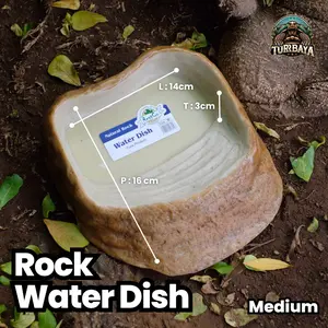 Water Dish Medium - ReptCo / Tempat Minum Torto Dan Reptile