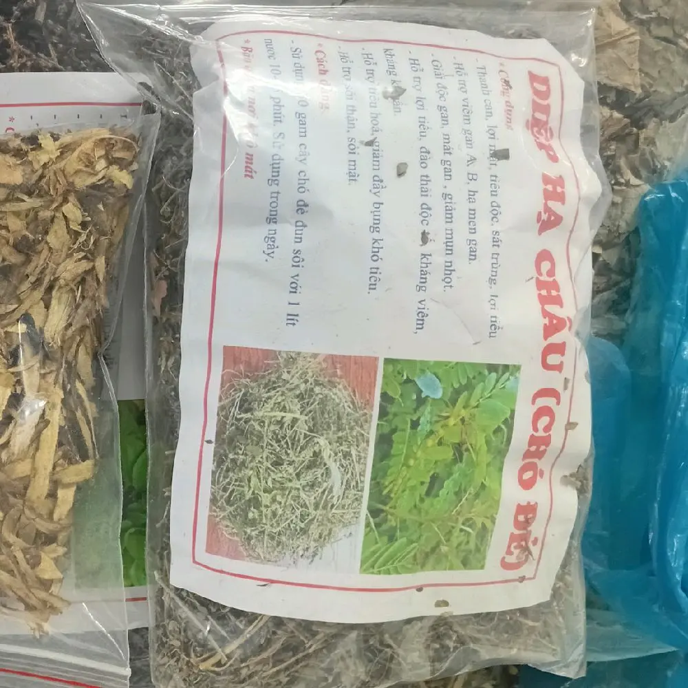 Cây chó đẻ răng cưa ( 200 g) ( diệp hạ châu ), hỗ trợ sỏi thận , tiểu đường , hạ men gan và cải thiện chức năng gan .
