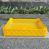 Gambar Rabbit Container Plastik Berlubang 5030 dari Putra Alam Teknologi Kab. Bekasi 3 Tokopedia