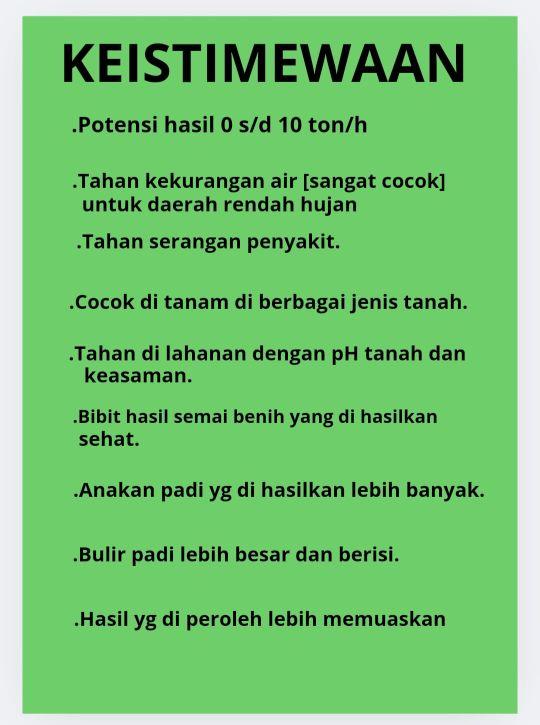 Benih padi/bibit padi unggul Si mbok 5kg berkualitas hasil tinggi Benih padi/bibit padi unggul Si mbok 5kg berkualitas hasil tinggi