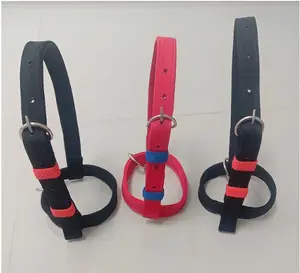 Brangus Halter kuat dan lembut untuk domba dan kambing