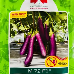 Benih Terong Ungu Hibrida M72 F1 Cap Panah Merah Isi 1100 Butir