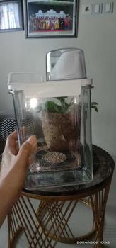 Product Review of RJ Botol serbaguna/ botol detergent/ botol dry food Jar from D**a 1