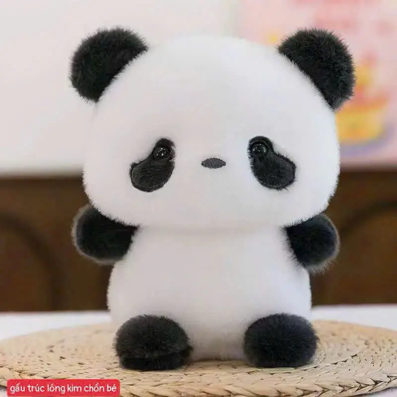 GẤU TRÚC LÔNG KIM CHỒN BÉ