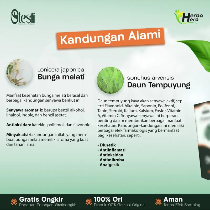 OTESLI.ID | Obat Tetes Telinga Herbal Untuk Sembuhkan Radang Telinga 1