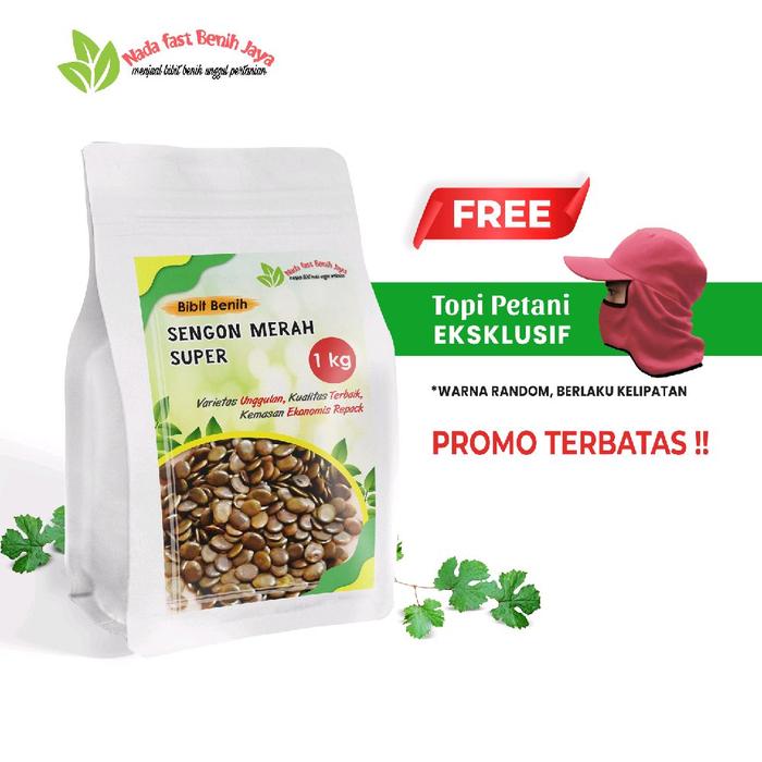 Gambar Benih sengon merah super 1 kg / bibit benih tanaman albasia original - Benih dari Nada fast benih jaya Kab. Banyumas Tokopedia