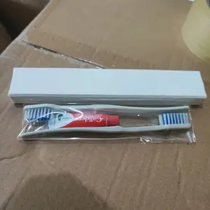 2 Sikat Gigi + Pasta + dus polos