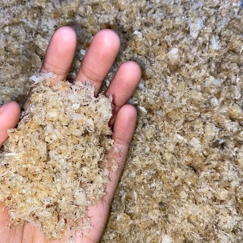 Sarang walet remukan Yenping (harga per gram) 0