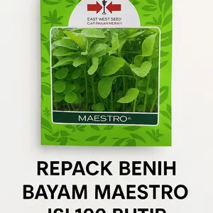 REPACK - BENIH BAYAM MAESTRO ISI 100 BIJI