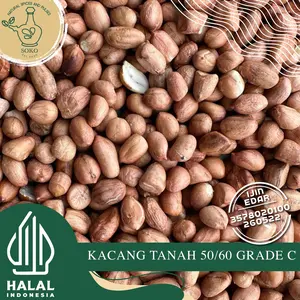 Kacang Tanah 50/60 Grade C – Kacang Kulit Ari Biji Besar