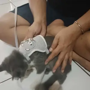 [HACIKO PETSHOP] Tali Tuntun Hewan Peliharaan Pola Beruang Lucu Untuk Anjing Kucing Dan Kelinci Nyaman Dan Aman.