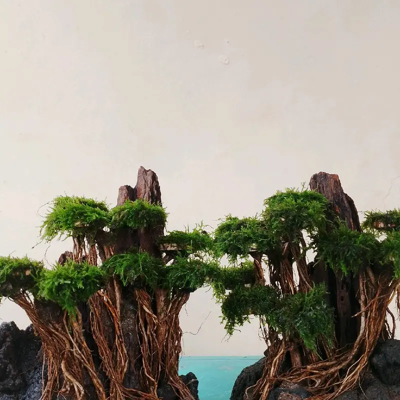ornamen harscape aquascape hiasan aquarium 2