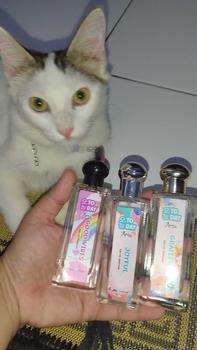 Product Review of Buy 1 Get 3 Parfum Tuday 35ml Parfum Wanita Tahan Lama from a**1 1