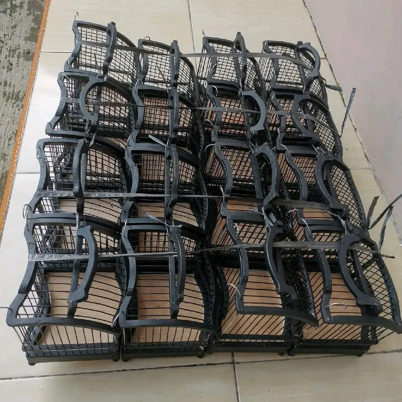 SANGKAR UNTUL HITAM PLECI, SOGON, KONIN DLL.. 1