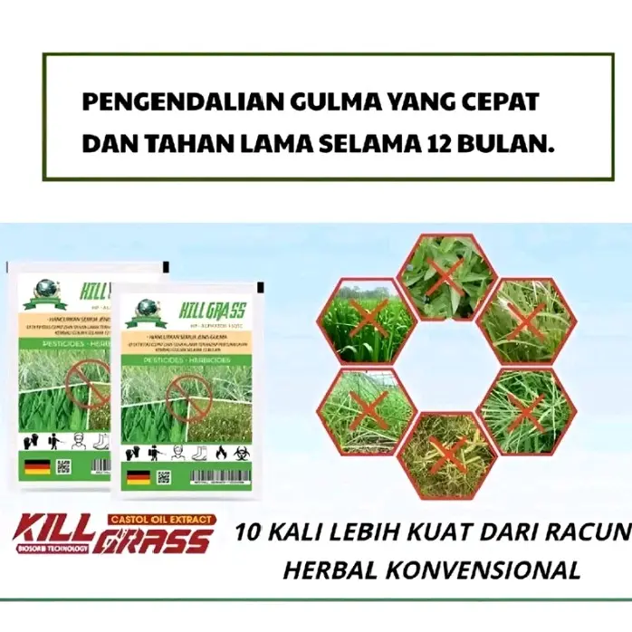 KILL GRASS BUBUK - 10X lebih kuat dari racun herbal konvensional