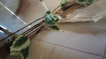 Product Review of 10 Batang Bambu Ulir Natural Variasi Daun  (Tidak Termasuk Vas/Pot) from C**u 0