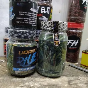 pakan pulcra sortir live fre stiker