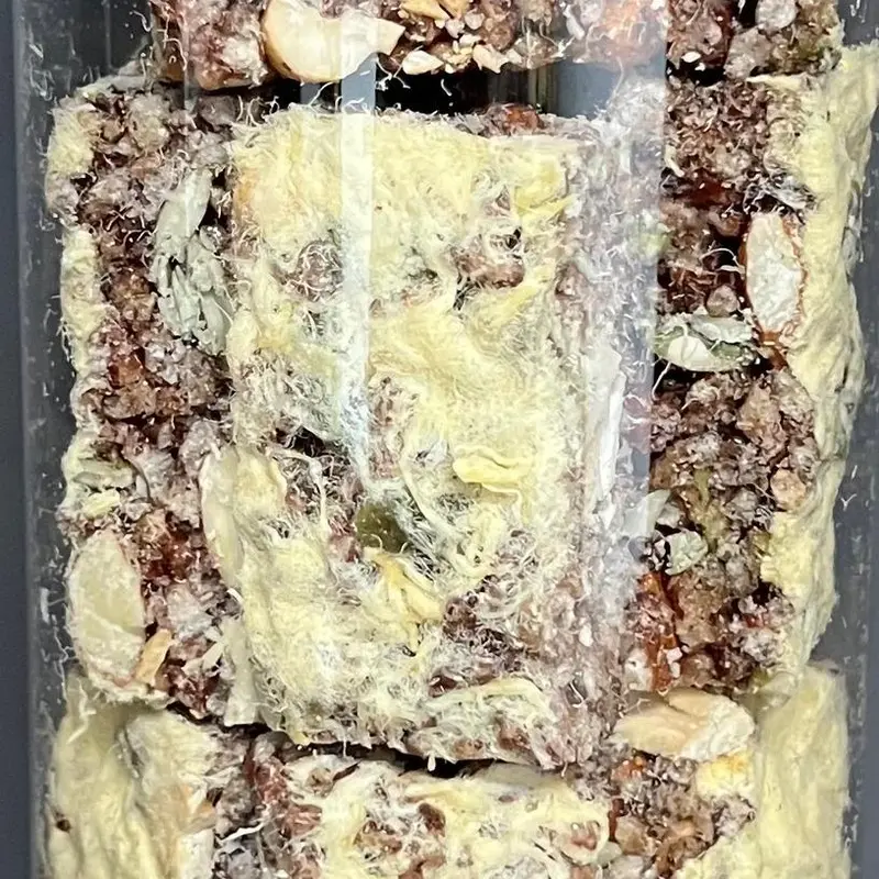 Healthy Farm - Thanh Gạo Lứt Hạt Dinh Dưỡng Cao Cấp  200g ( Vị Chà Bông ) 2