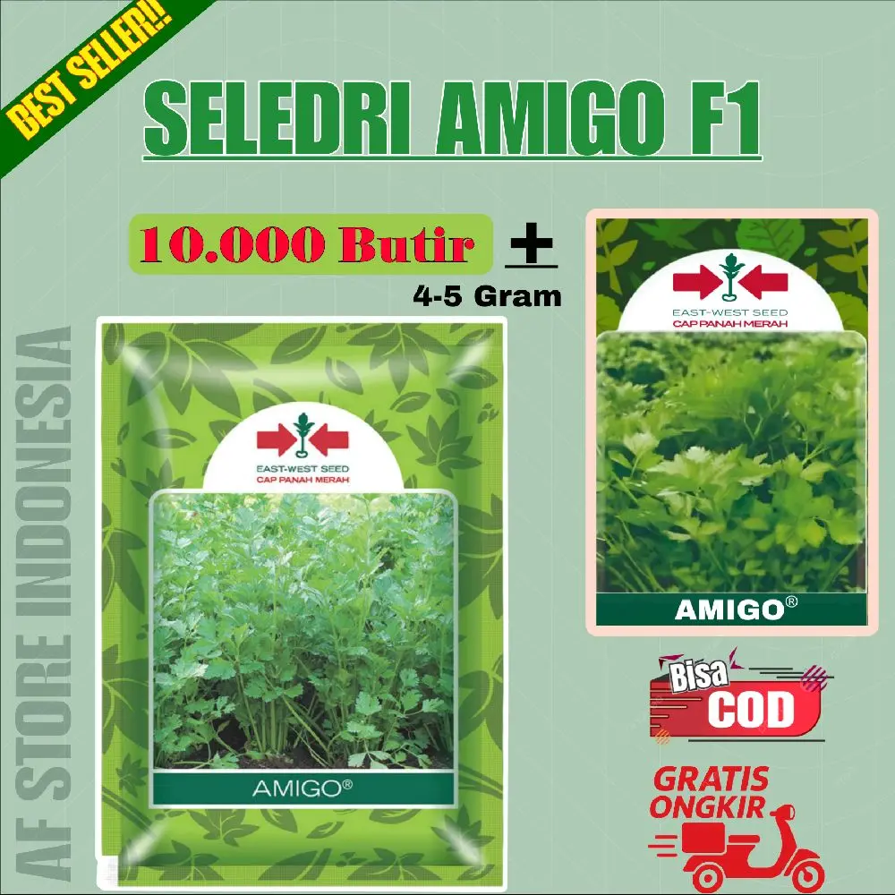 Benih Seledri Amigo Isi 10.000 Butir Cap Panah Merah Tanaman Anakan Banyak Produktif Potensi Hasil Tinggi Repack Tanaman Tegak Daun Hijau