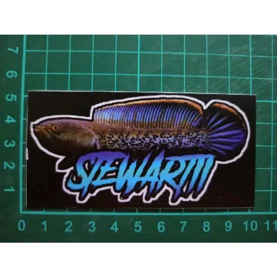sticker stewarti mouglifish