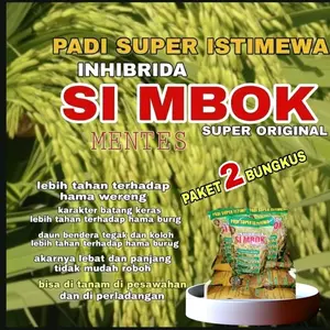 Benih 2 bungkus Padi Simbok Mentes Istimewa Super Genjah Hasil Melimpah 12 Ton Per Hektar Unggul dan Tahan Hama