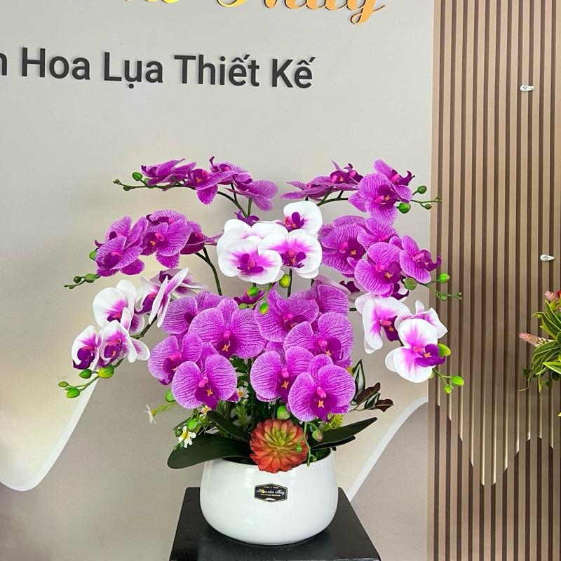 Chậu sứ Hoa lan hồ điệp giả 9c5b hoa trang trí phòng khách Hoa lan hồ điệp cao su Chậu hoa lan để bàn mẫu 9 cành hoa
