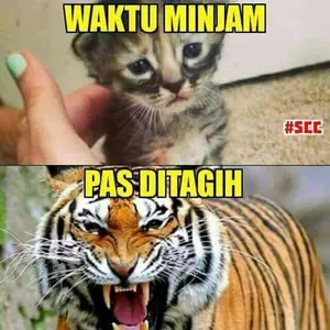 JLD Sikat Baja Sisir Kawat Bengkok Kuningan Wire Brush Pisau