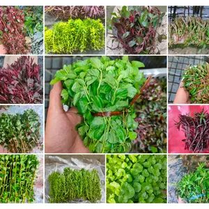 ornamen sintetis tanaman stamplant