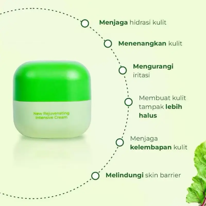 Reglow Rejuvenating Intensive Cream Siang Malam by dr.Shindy Putri 15 g Perawatan Berjerawat Melembutkan Mencerahkan Wajah Kusam Berminyak Pencerah Aging Hitam 3