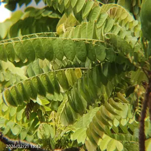 (In Stock)Luxyphone lensa apexel 28x zoom lensa kamera apexel 18x25 hp telezoom lensa tele zoom hp lensa hp lensa kamera pantai Ponsel Hitam