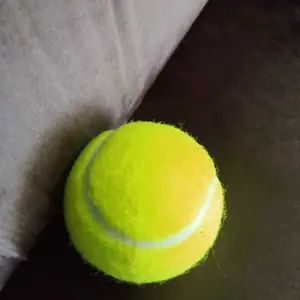 Bola Tenis / Tennis Ball / Bola Kasti Frasser TT01 BLTNS - 01