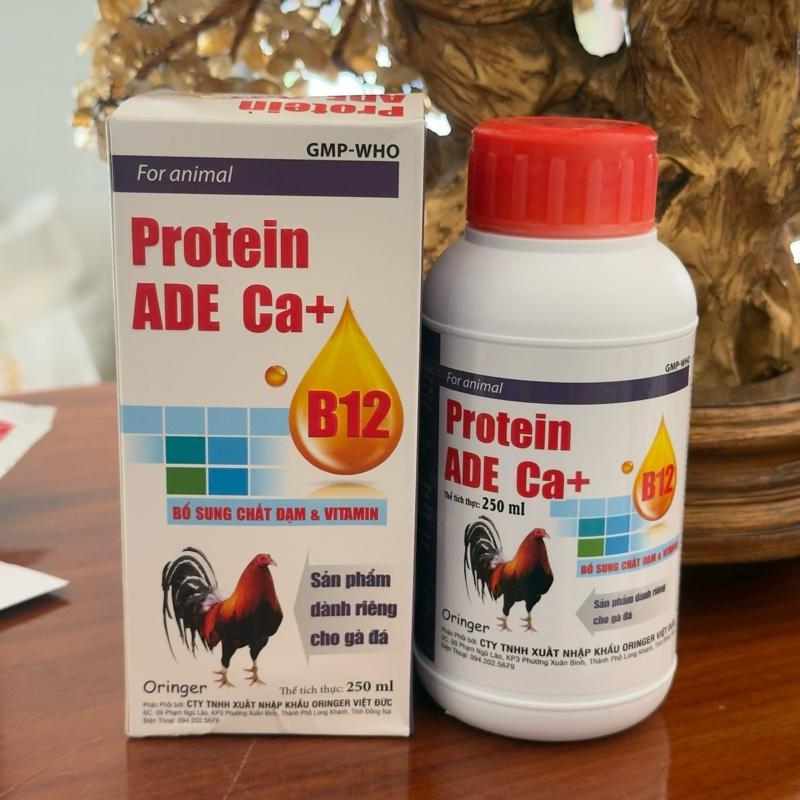 Protein ADE Ca+ B12 250ml thuốc nuôi gà đá săn chắc cơ bắp tăng cơ giảm mỡ lên cân sung hừng tăng nước máu bổ máu trên gà đá gà đòn.