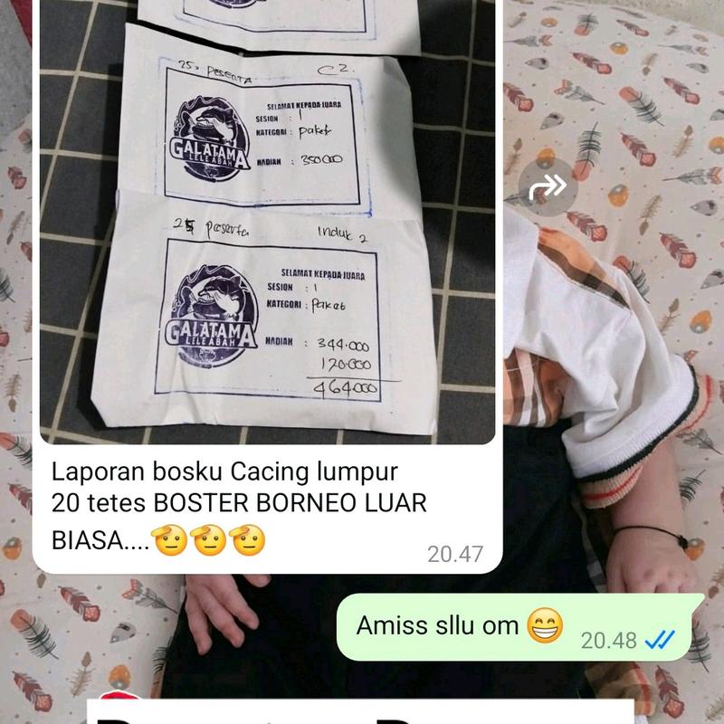 Booster Borneo / Pengumpul Ikan 8