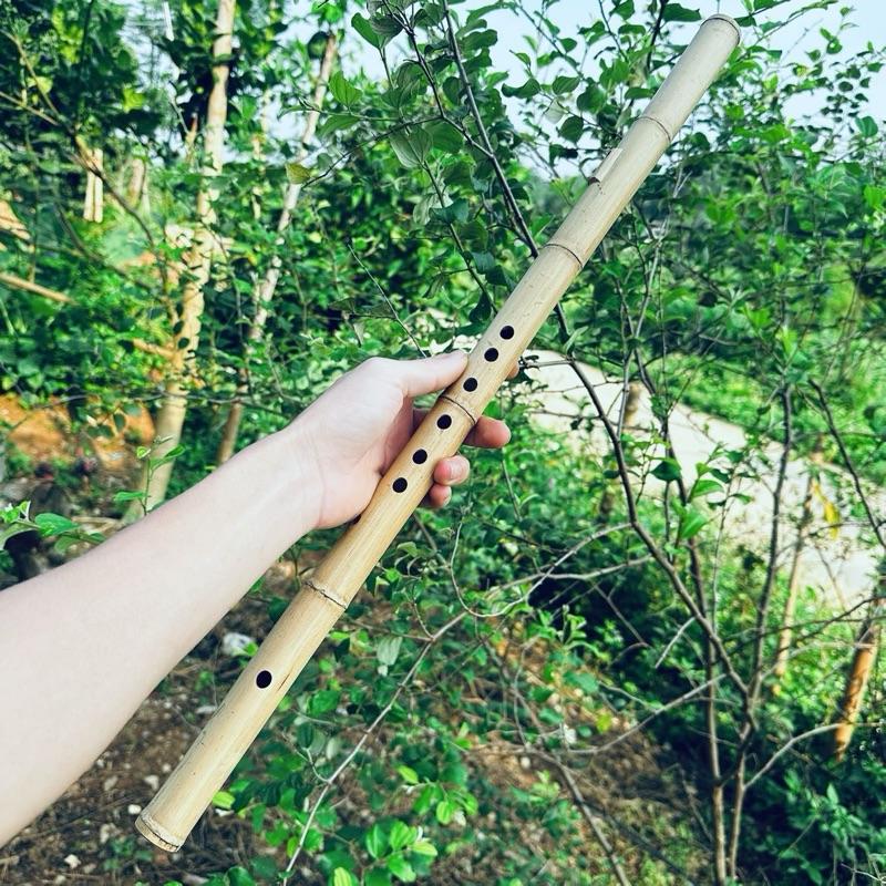 SÁO MÈO NAM tone C trúc trắng