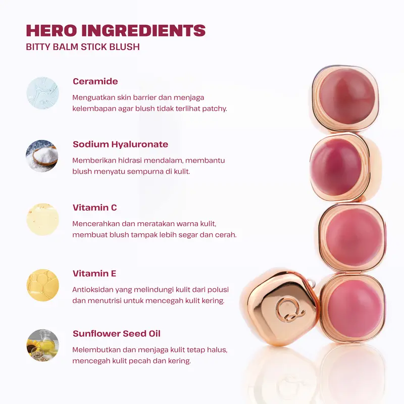 [NEW LAUNCH] ESQA Bitty Balm Stick Blush 4