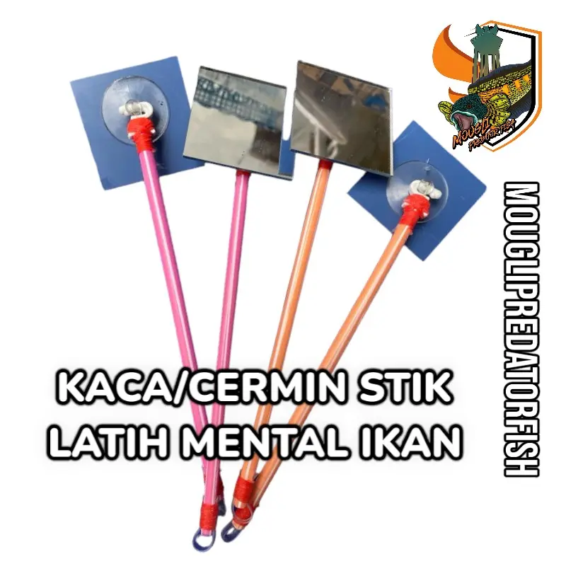 kaca cermin stik untuk latih mental ikan
