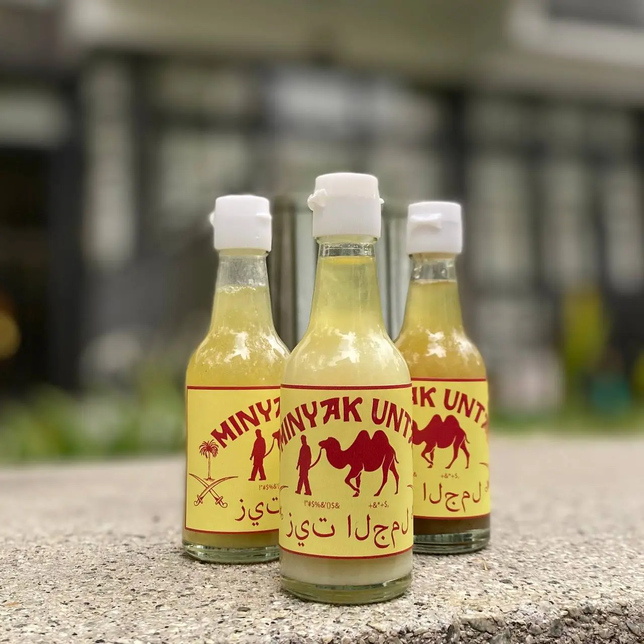 Minyak Bonggol Raja Unta 100% Original