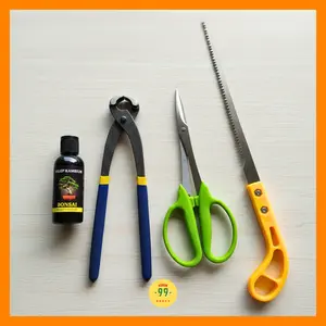 Paket Alat Bonsai 4 item Catok Bonsai Gergaji Mini Gunting Pruning Salep Kambium Plus Fungisida