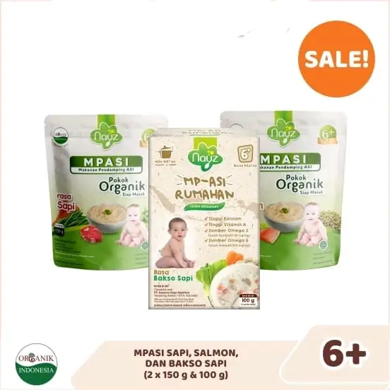 Nayz Bubur Organik 6m+ | MPASI Rumahan| rasa Khas Nusantara| membantu menunjang nutrisi sikecil