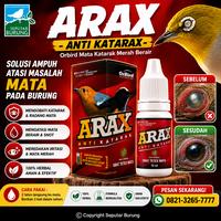 Gambar Obat Burung ARAX Anti Katarax Orbird Mata Katarak Merah Berair dari Seputar Burung Indonesia Kota Surakarta 4 Tokopedia