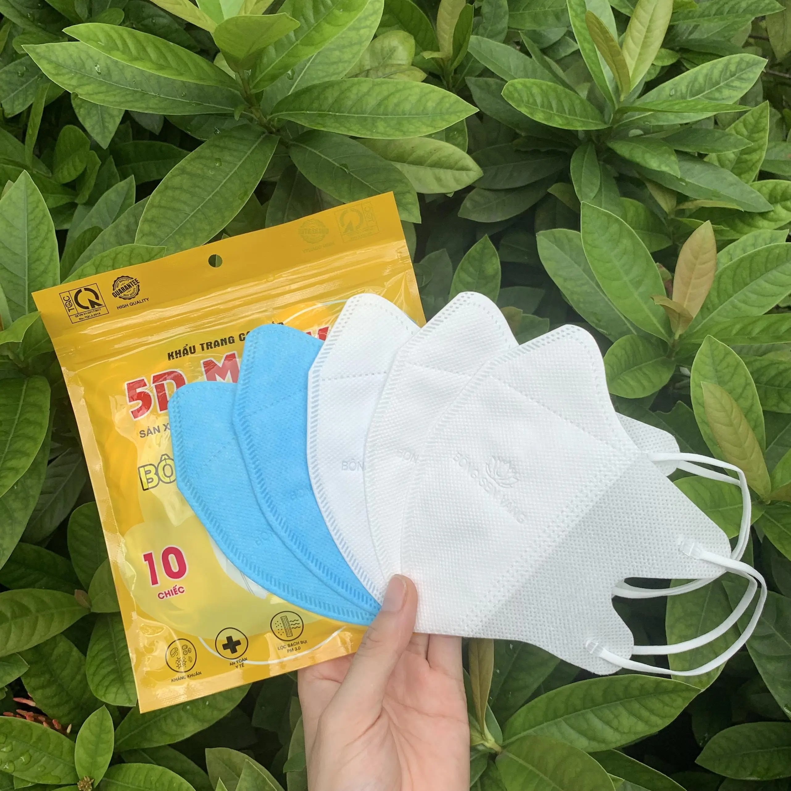 Trắng + Xanh Dương